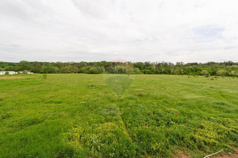 House - Villa 4 rooms in Pantelimon Magic Lake, Cernica forest