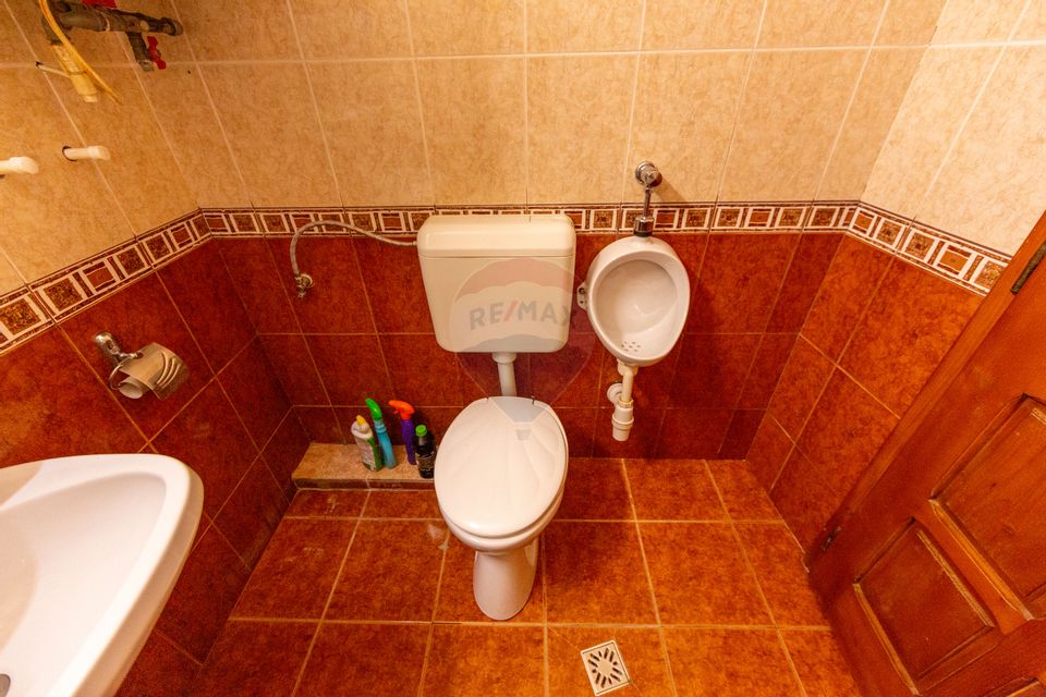 Casă spațioasă cu garaj dublu, foișor și curte amenajată