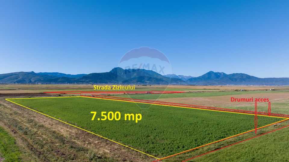 Teren comercial / industrial | 7,500mp Strada Zizinului | Tarlungeni