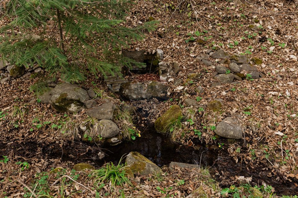 Casa si teren intravilan Tarcau