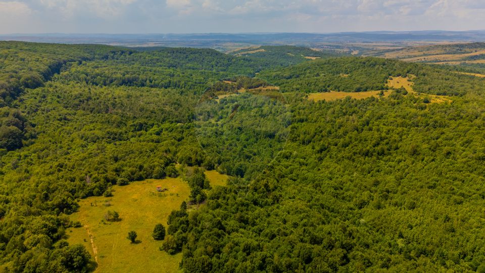 COMISION 0% Teren Grid/Inima Naturii/ Oportunitate de investiție