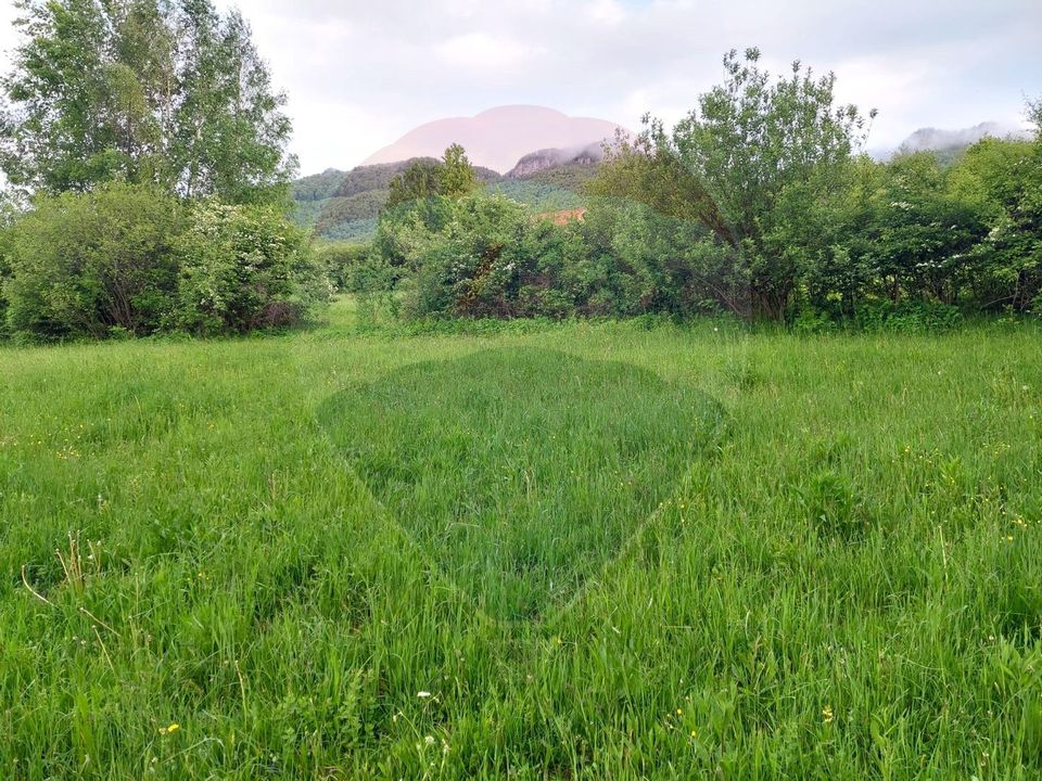 Land 4,223sqm Zarnesti / Strada Tohanita