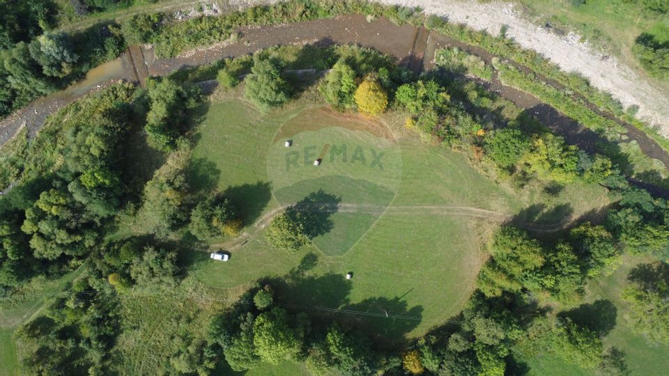 Teren 10.000 mp Calatele – Apuseni, langa rau, ideal investie turism