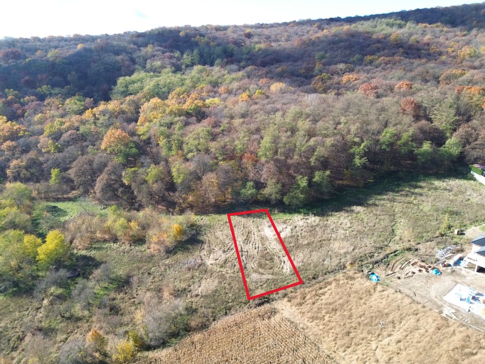 Teren de vânzare – zona Wevern, Medias – 1.222 mp lângă padure