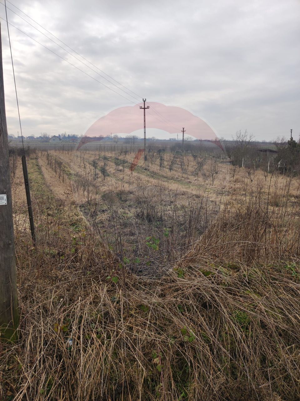 Teren 2.341 mp Uileacu de Munte front 25 ml la drum asfaltat