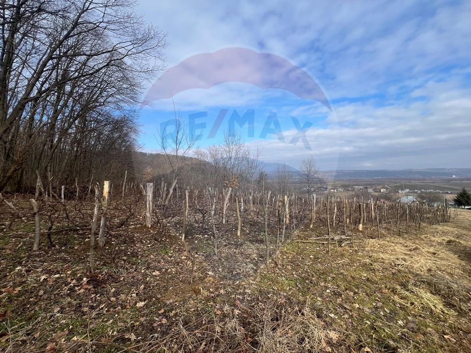 Land 2,600sqm Garleni / Strada Peot Negru Cezar