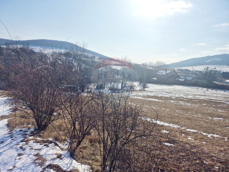 Teren 2,344mp Garcina / Aleea Coasta lui Bojoaga