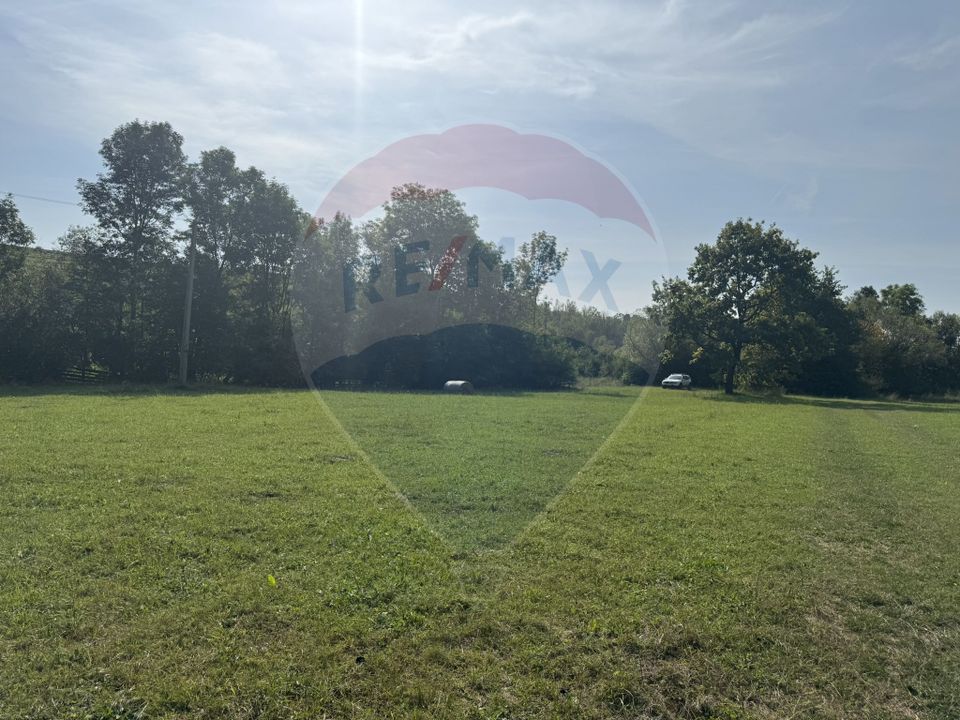 Teren 10.000 mp Calatele – Apuseni, langa rau, ideal investitie turism