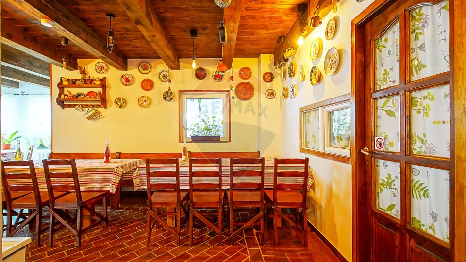 Cabana la Flo, 8 cam,P + M, teren 888 mp oportunitate de investitie !