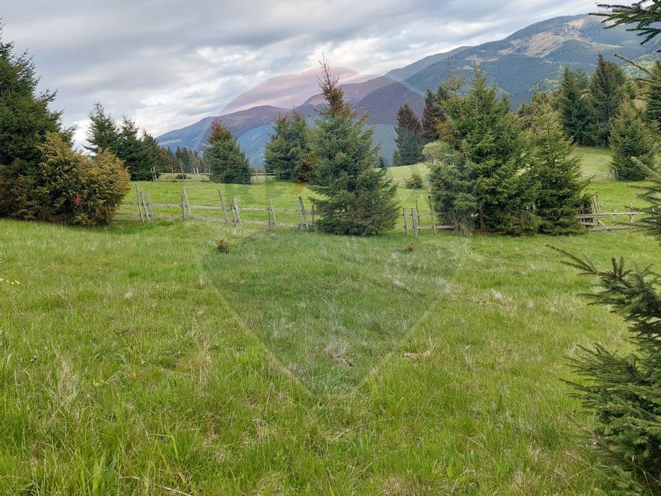 O fereastră către cer – teren de vis în Fundata, la poalele Bucegilor