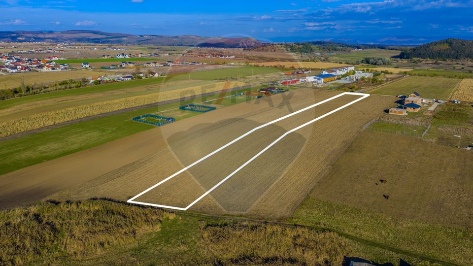 COMISION 0% Teren Sânpetru 8900 mp/ Intravilan/ 8 loturi