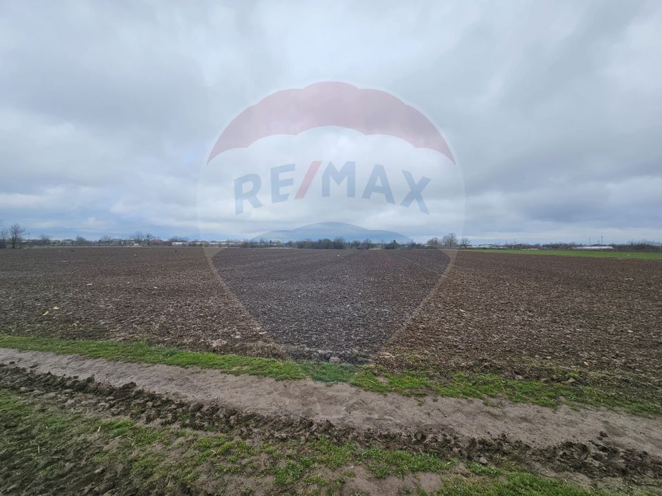 Teren de vanzare, intravilan, Adunatii-Copaceni Strada Scolii Primarie