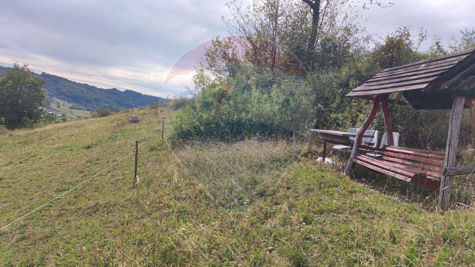 Teren intravilan constructii 3082 mp Damis Bratca drum DJ 764D