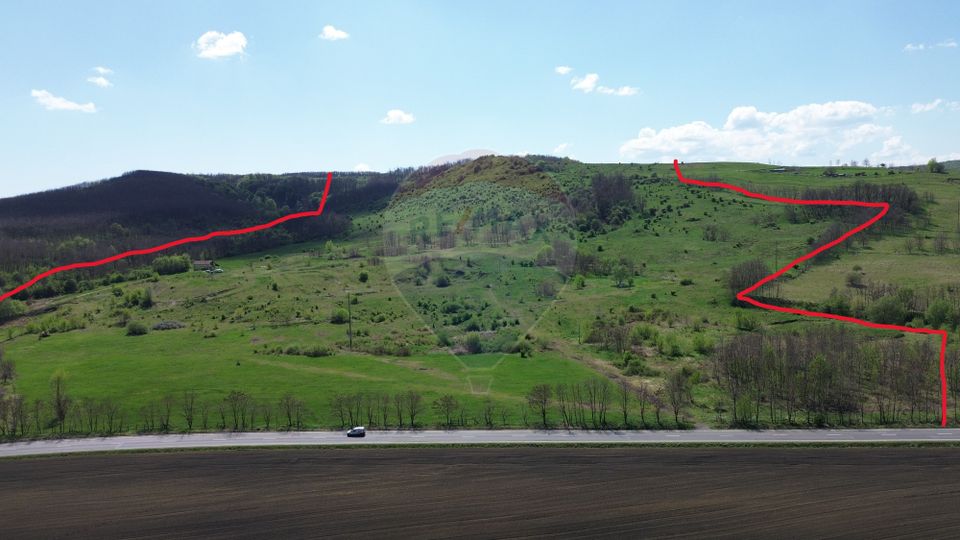 Domain - 66 Hectares - Special land Copsa Mica with access to DN14