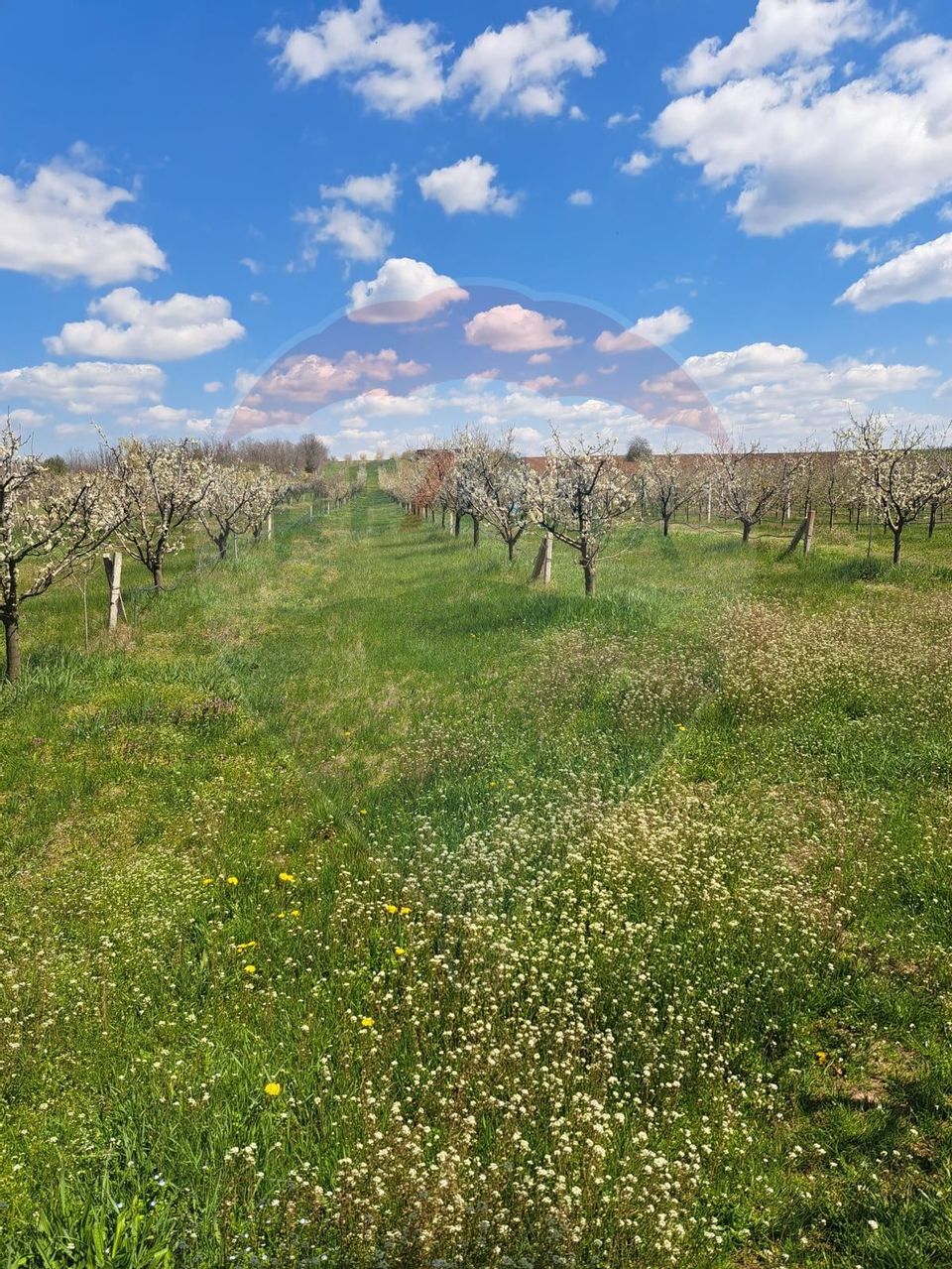 Vanzare teren Livada - Ferma Arges - Izbasesti / DN 142 langa Pitesti