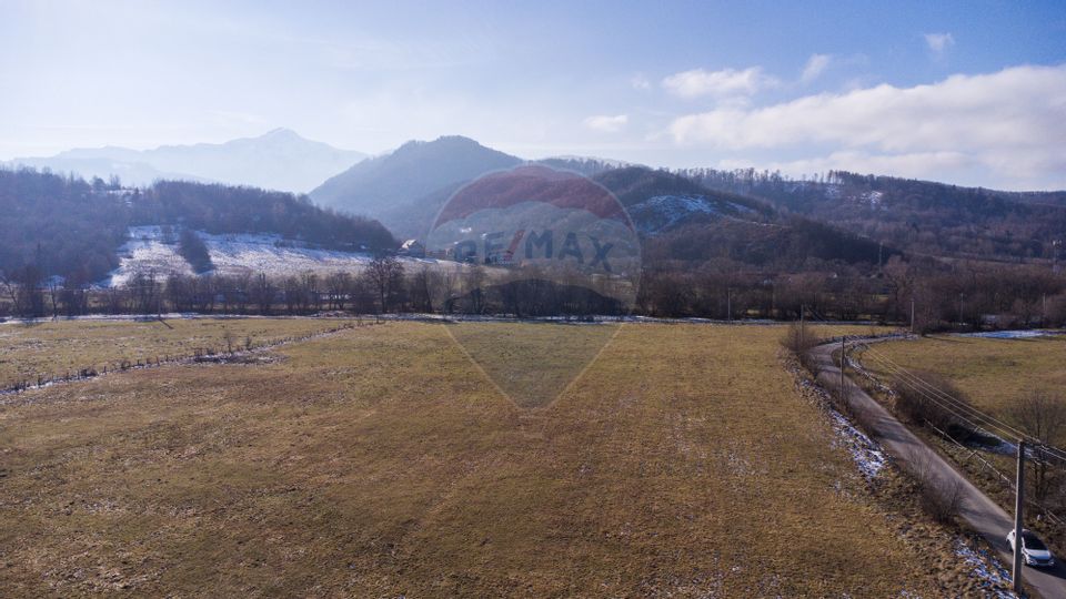 Land 21,000sqm Rasnov / Strada Cheisoara