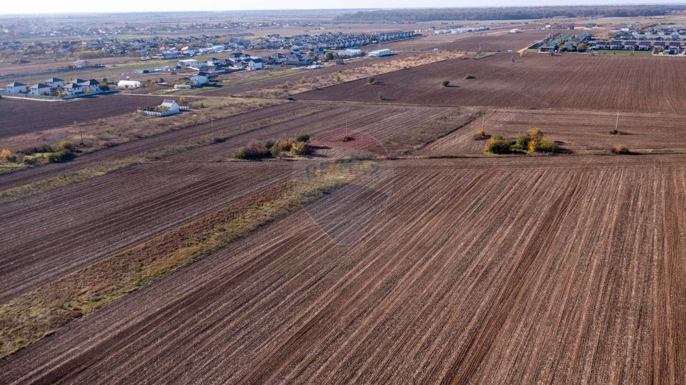 Land 7,400sqm Sabareni / Strada Primaverii