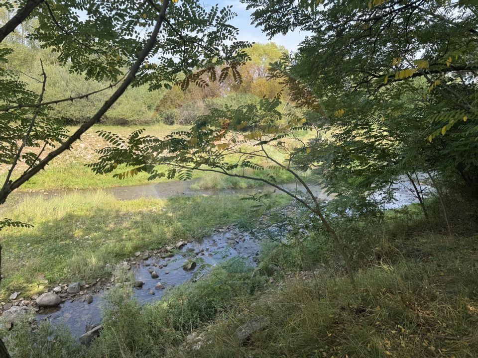 Teren 10.000 mp Calatele – Apuseni, langa rau, ideal investie turism