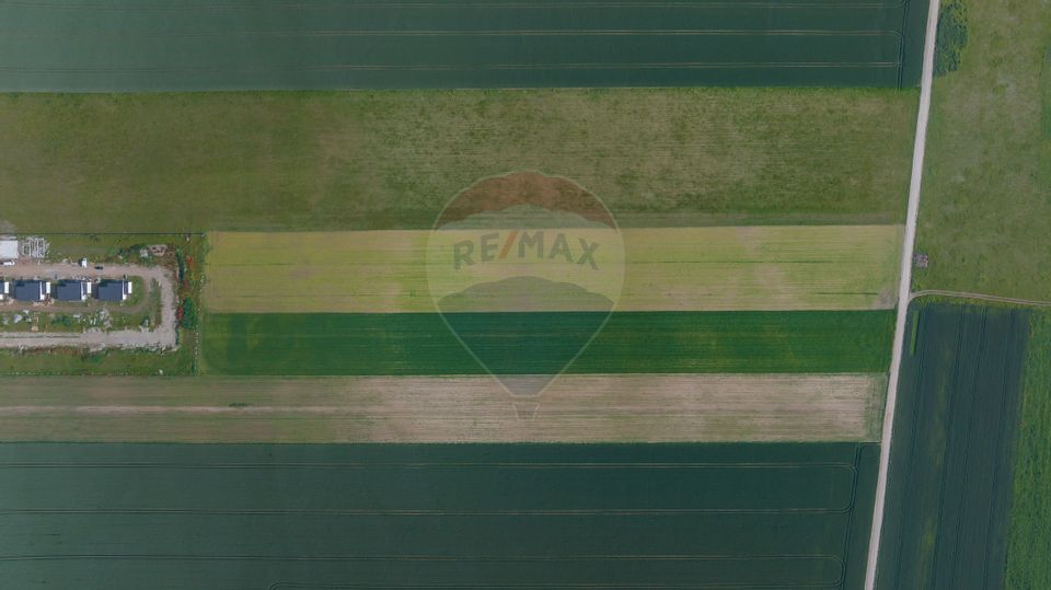 Teren 42,000mp Tarlungeni / Strada Izvor