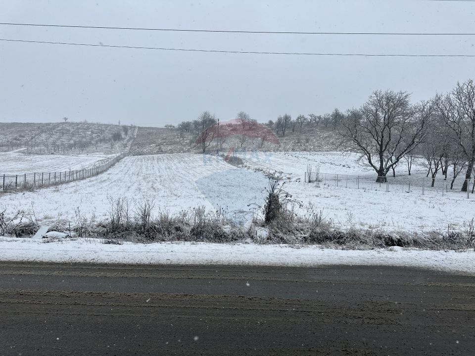 Land 8,300sqm Negresti (Dobreni) / Drumul DEALUL OTEL