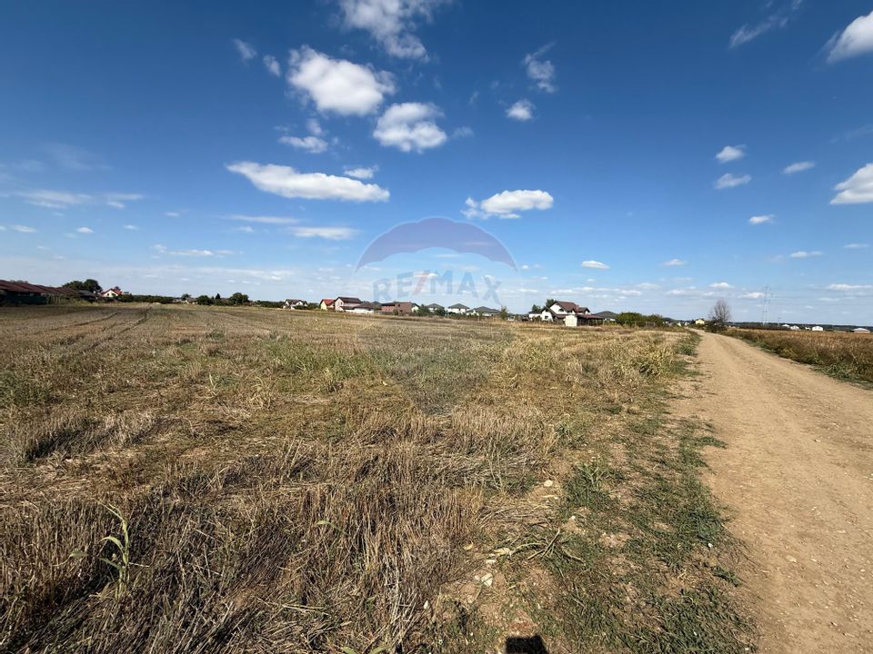 Land 5,000sqm Sabareni / Strada Trandafirilor