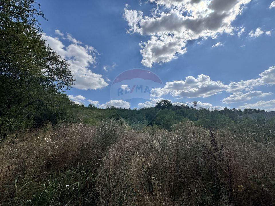 Teren  6.372mp Strs.Piersicilor/Str.Prunilor