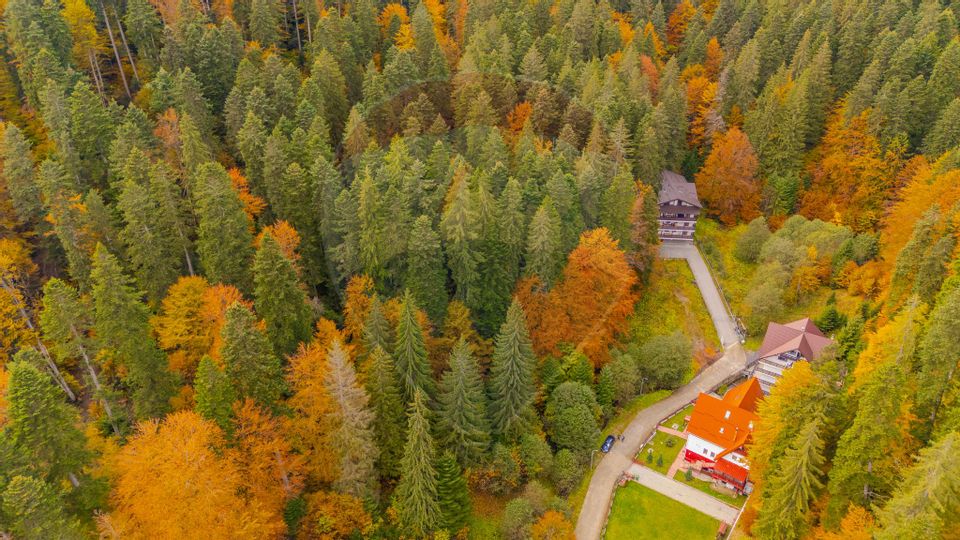 Comision 0 | Teren intravilan de vânzare – Predeal, Brașov 908 mp