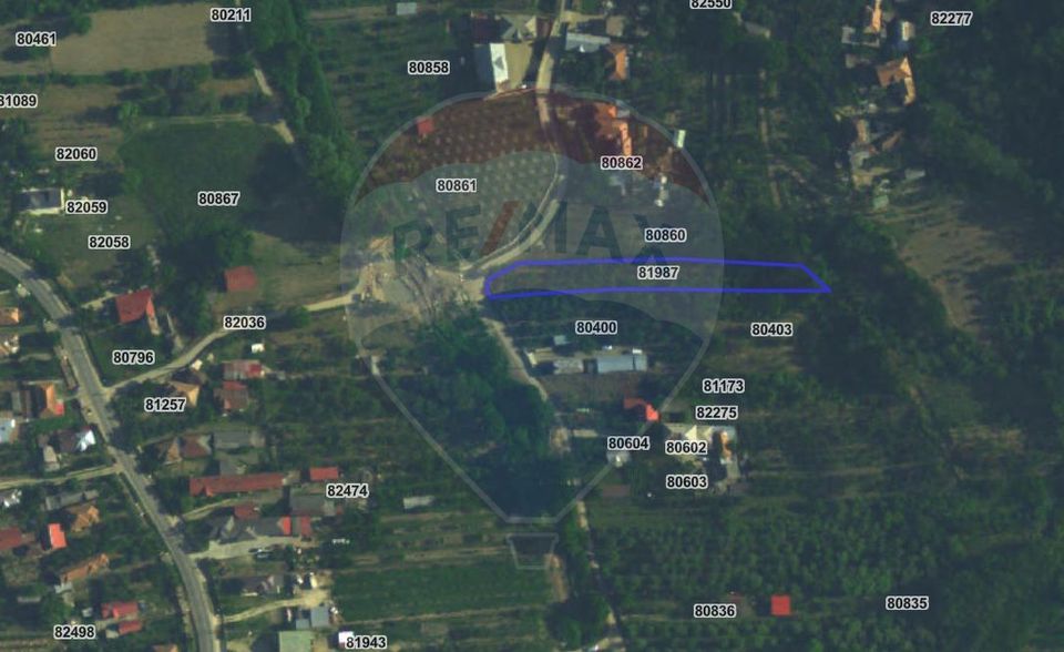 Teren intravilan 1.736 mp Chițești- Bogați (AG), deschidere la asfalt