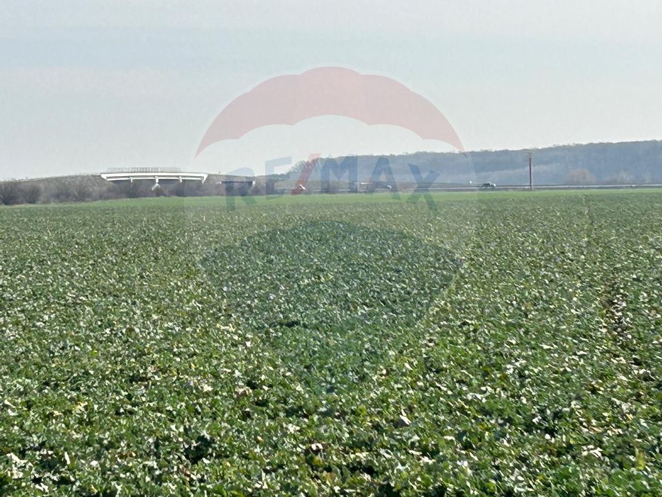 De Vanzare Teren 12,900mp Moara Vlasiei / Drumul Teilor