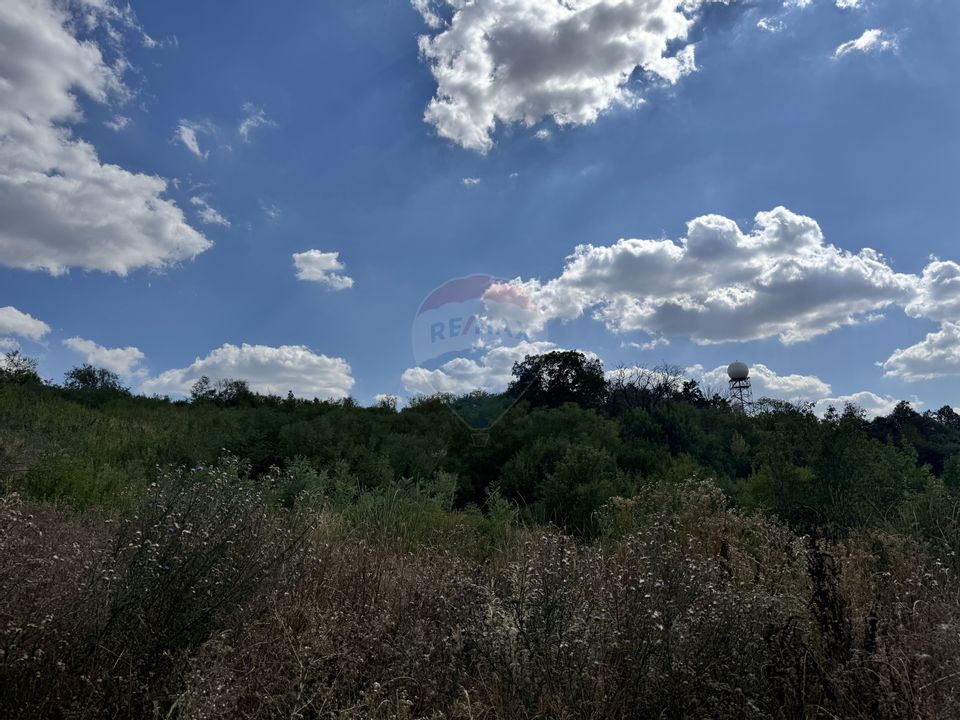 Teren  6.372mp Strs.Piersicilor/Str.Prunilor