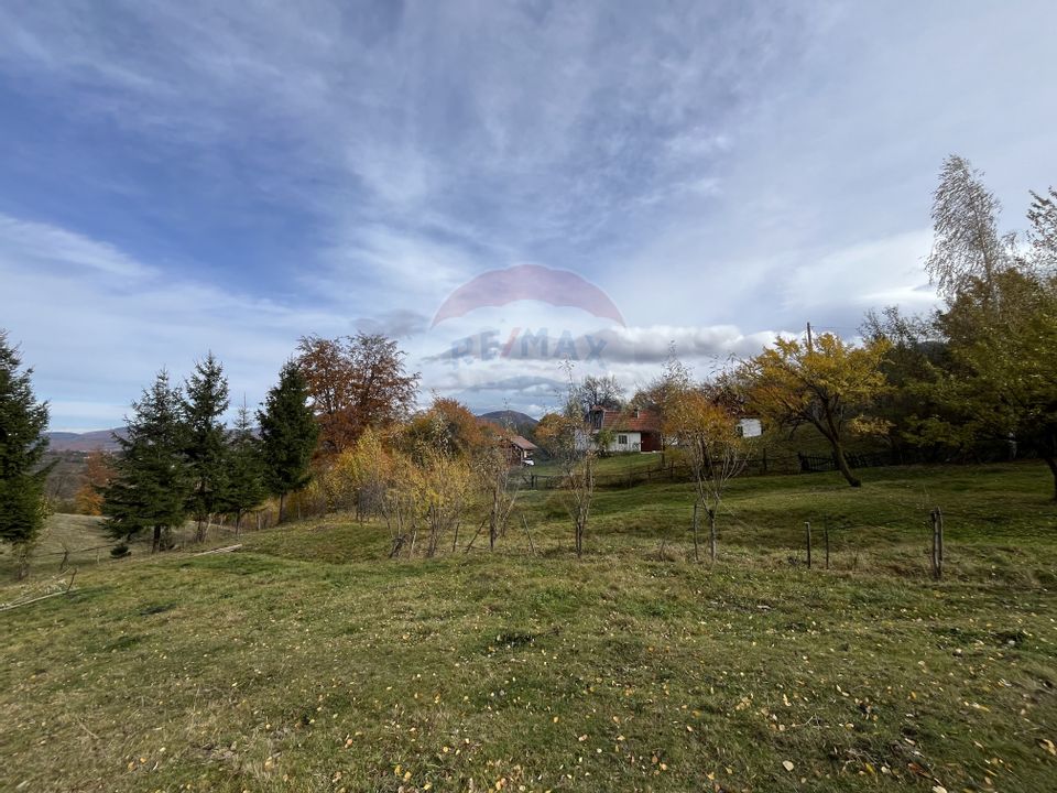 Teren de Vis în Bran – 1000mp Plat, Liniște Absolută și Aer Curat