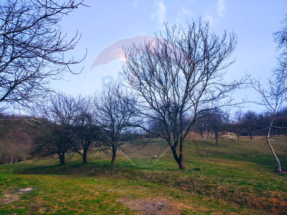 Teren intravilan generos 3.206 mp în Remecioara | Priveliște deosebită