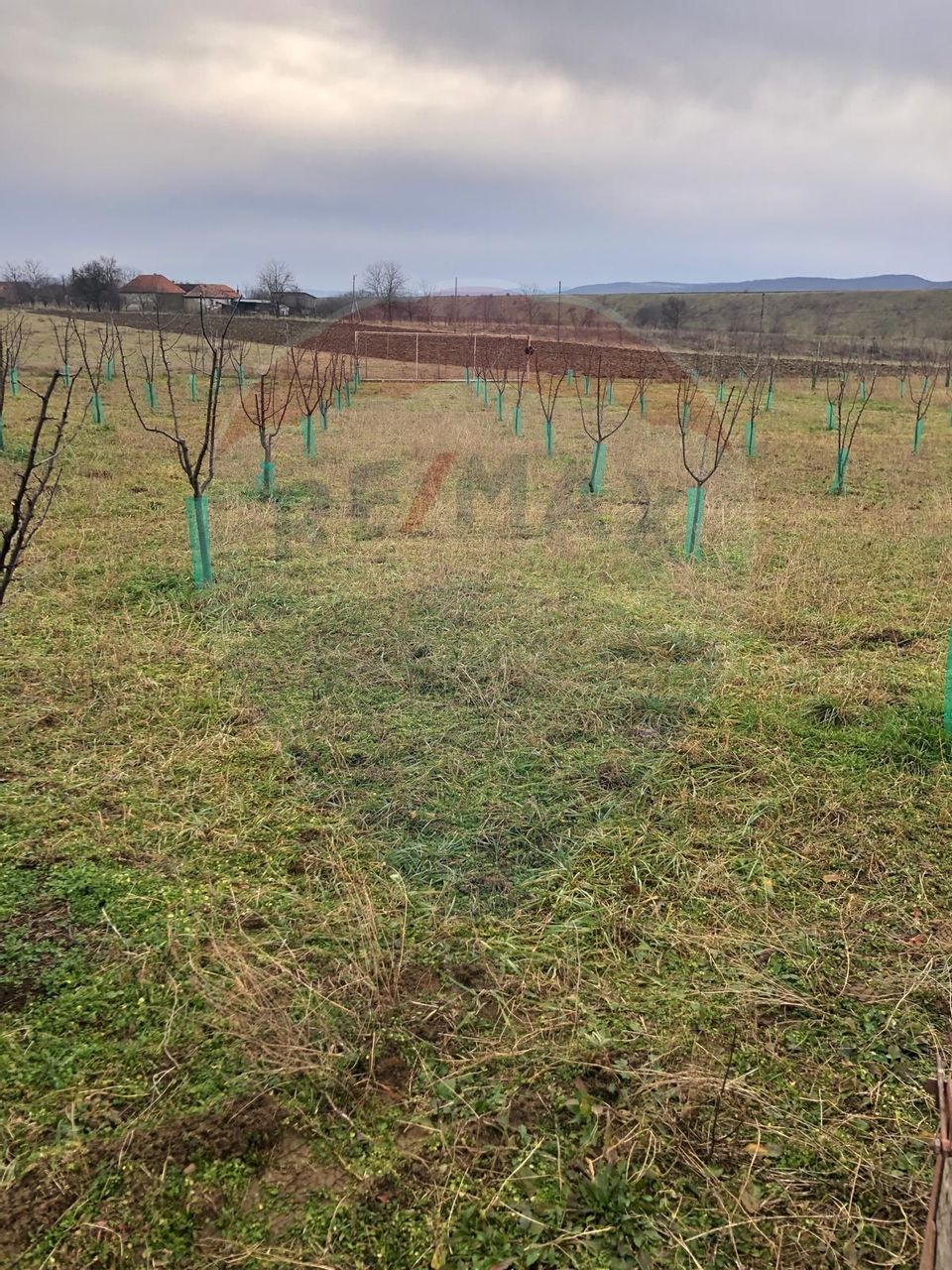 Land 6,000sqm Lugasu de Jos / Strada principala