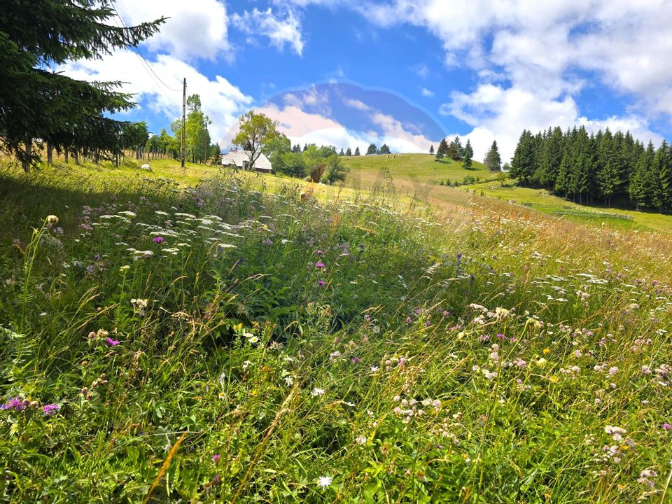 Teren de vis în Fundata 1934mp sau 3868mp, la înălțimea sufletului tău