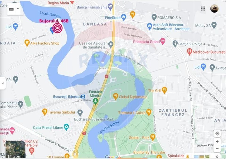 5 room House / Villa for rent, Baneasa area