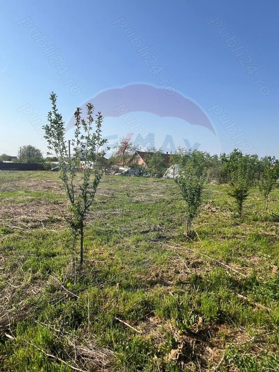 Land 2,417sqm Gelu / Drumul Principal