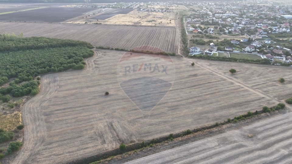 Ocazie investitie, teren intravilan Tamasi / Buftea