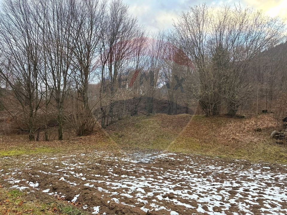 Land 2,350sqm Tarcau / Strada Cazaci , Punct Poiana Batrana