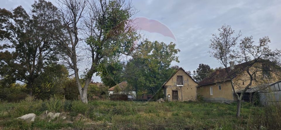 Teren generos cu potential în comuna Silindia, judetul Arad