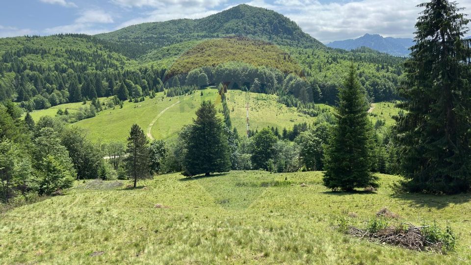 Land 6,000sqm Dalghiu / DJ 103A