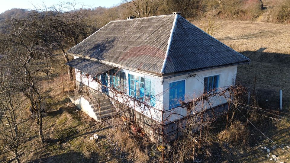 De vânzare casă de vacanță in Boiereni
