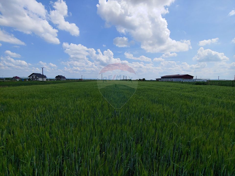 Teren intravilan 6,600mp Dumbraveni / Strada Principala spre Veresti