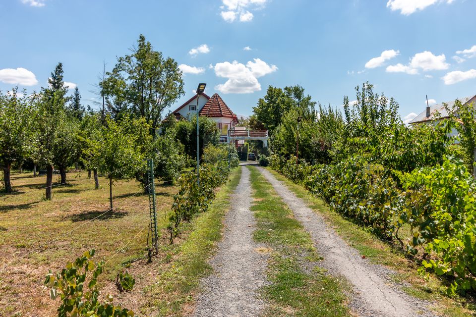 Casa+Laborator+ Teren 12.700 mp + casa de vacanta - Bolintin Vale