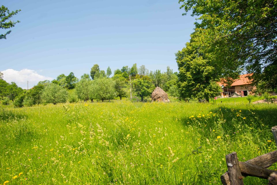 Land for sale 10990sqm Bran Sohodol, great view, utilities