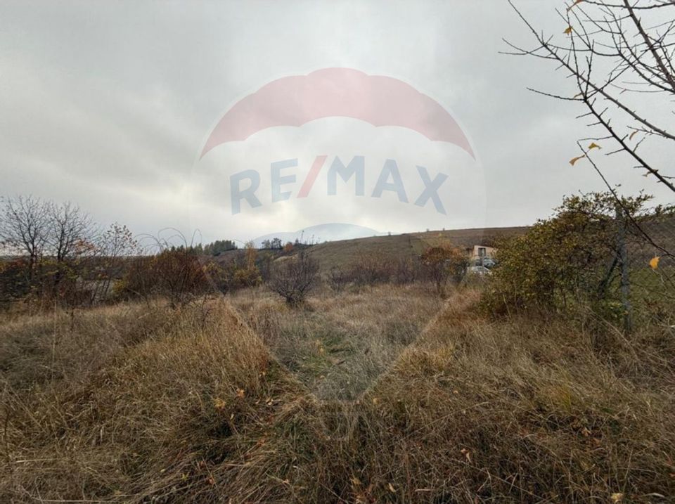 Teren intravilan de vânzare 2.307 mp – Sălicea, comuna Ciurila