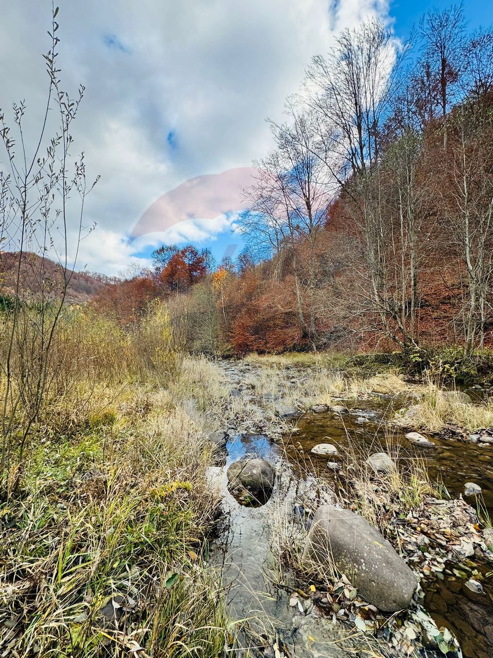 Teren 4,877mp Mara / Strada Principala