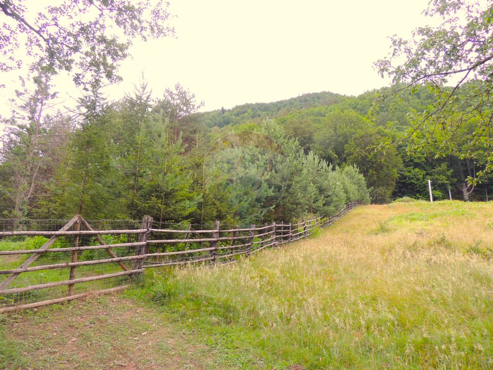 Land 3,580sqm Darmanesti / Drumul Punct Rachitis