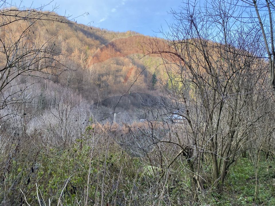 Land 1,000sqm Valea Ierii / Drumul Principala