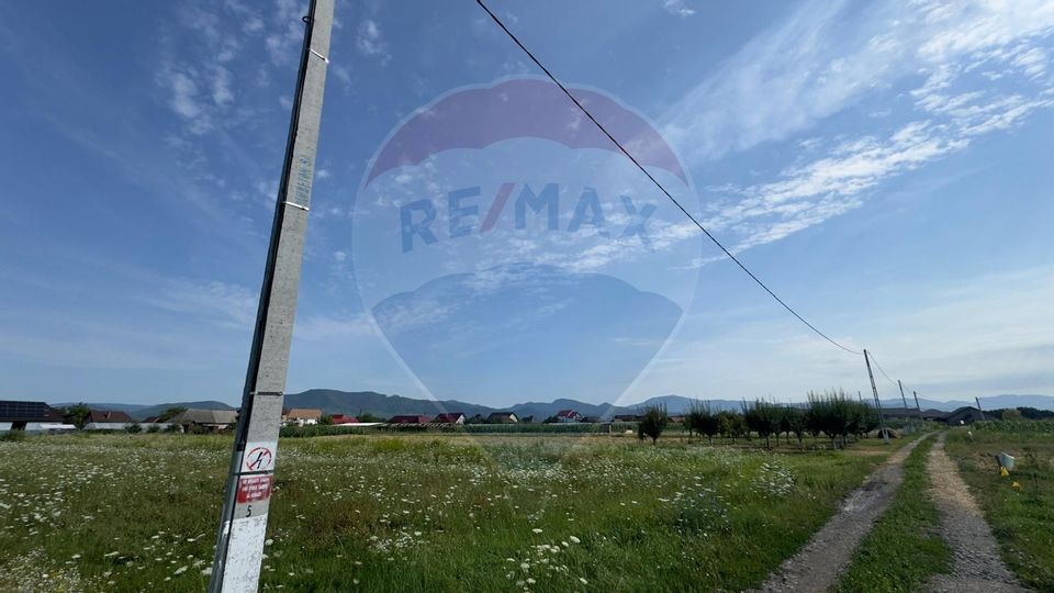 Land 1,000sqm Mocira / Strada 1DECEMBRIE