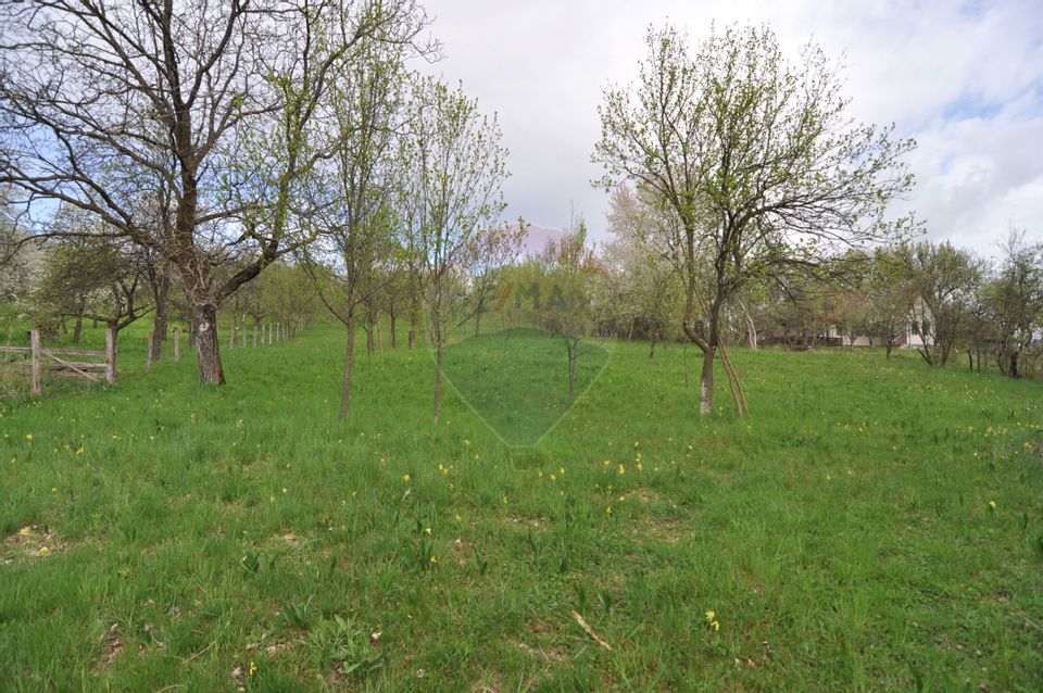 Land 2,811sqm Masca / Strada Principala